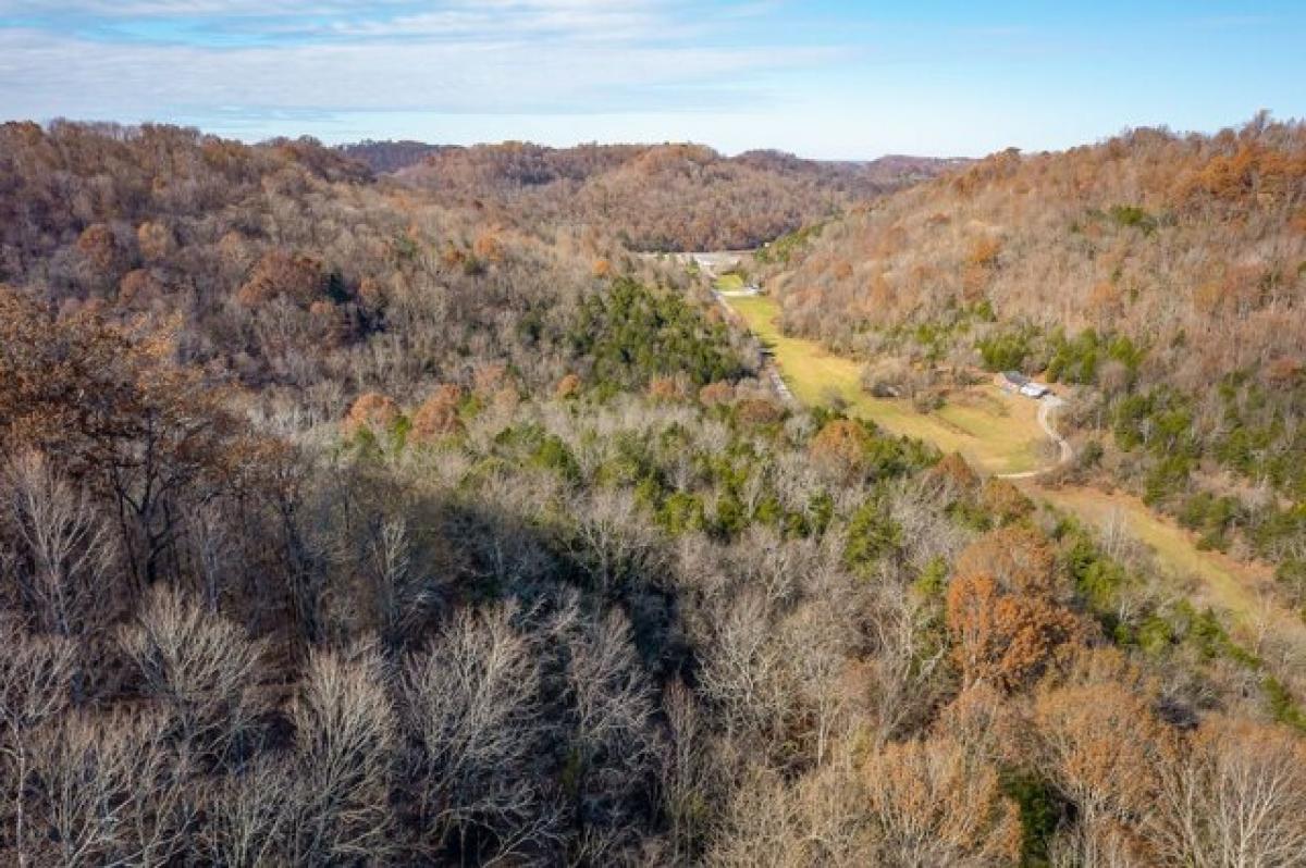 Picture of Residential Land For Sale in Gainesboro, Tennessee, United States