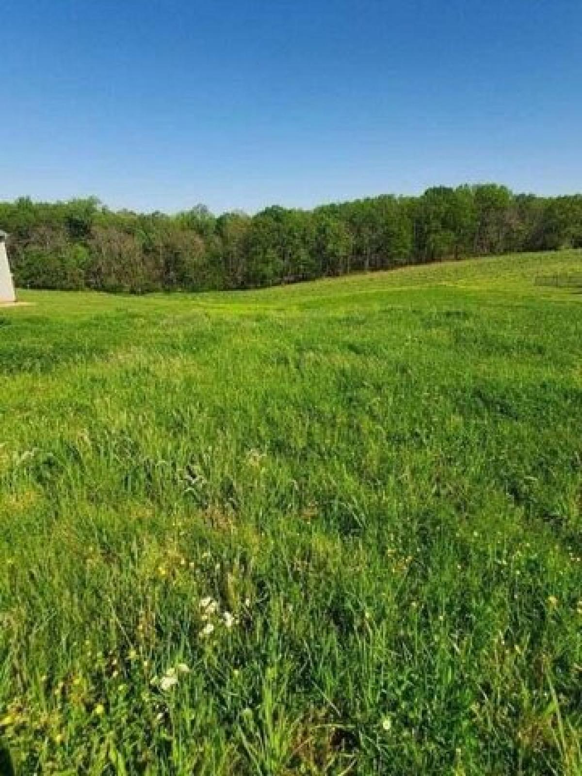 Picture of Residential Land For Sale in Rocky Mount, Virginia, United States