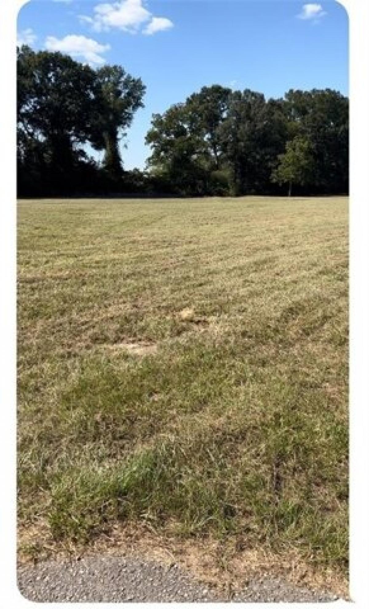 Picture of Residential Land For Sale in Chunchula, Alabama, United States