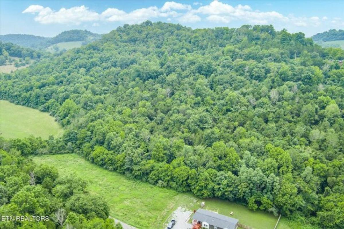 Picture of Residential Land For Sale in Gainesboro, Tennessee, United States