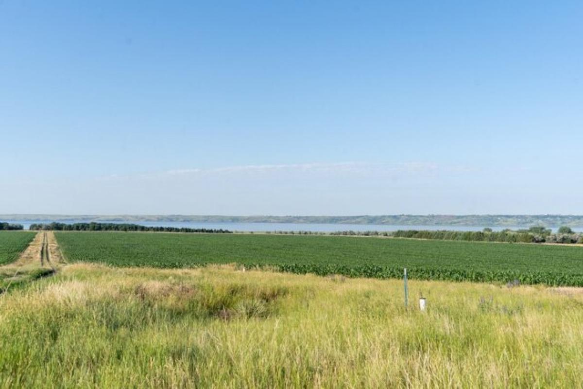 Picture of Residential Land For Sale in Pierre, South Dakota, United States