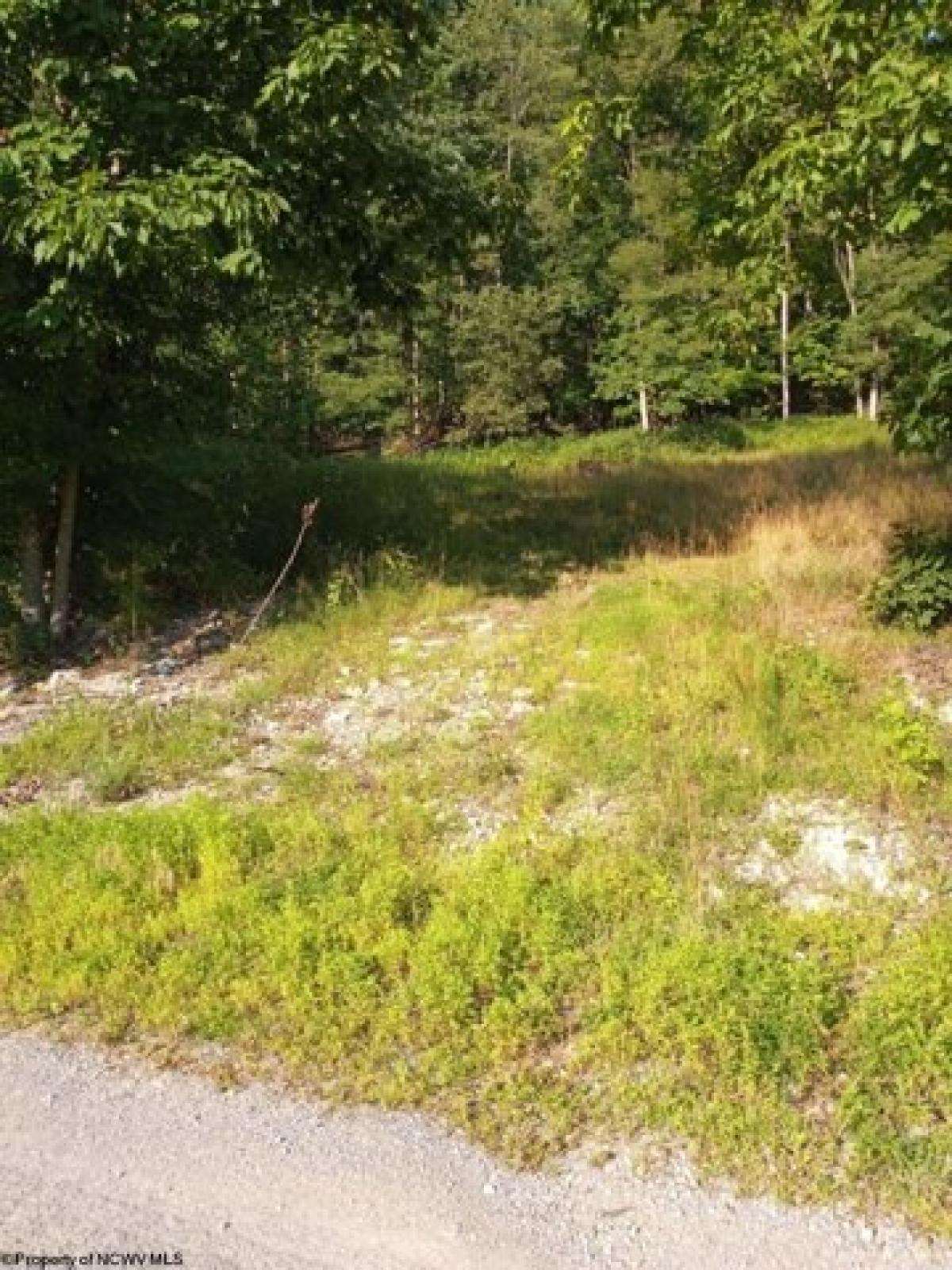 Picture of Residential Land For Sale in Buckhannon, West Virginia, United States