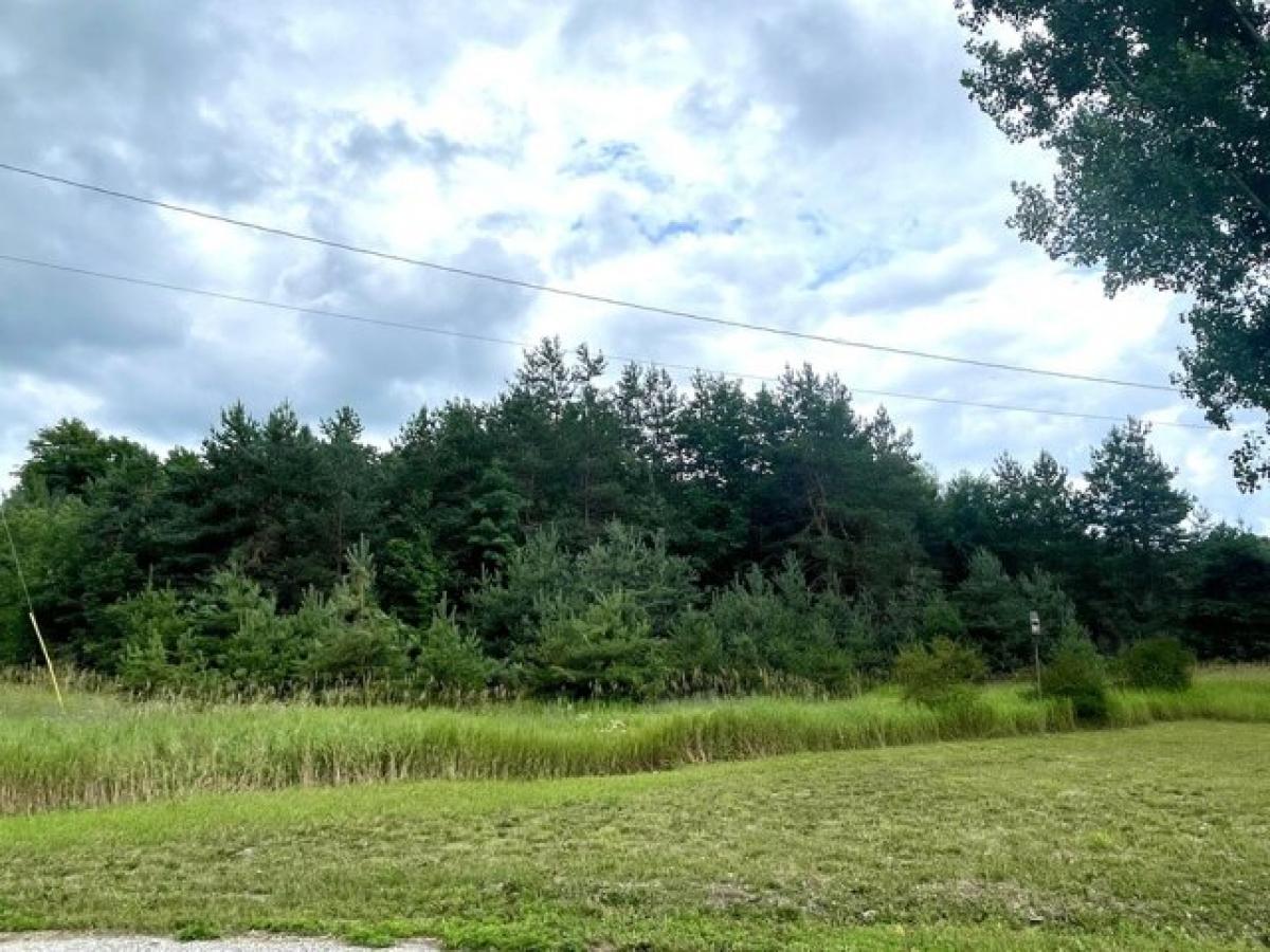 Picture of Residential Land For Sale in Elmira, Michigan, United States