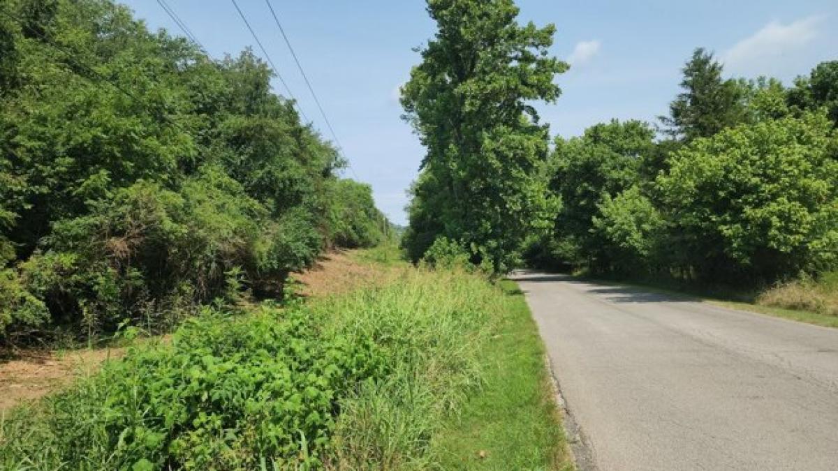 Picture of Residential Land For Sale in Gainesboro, Tennessee, United States