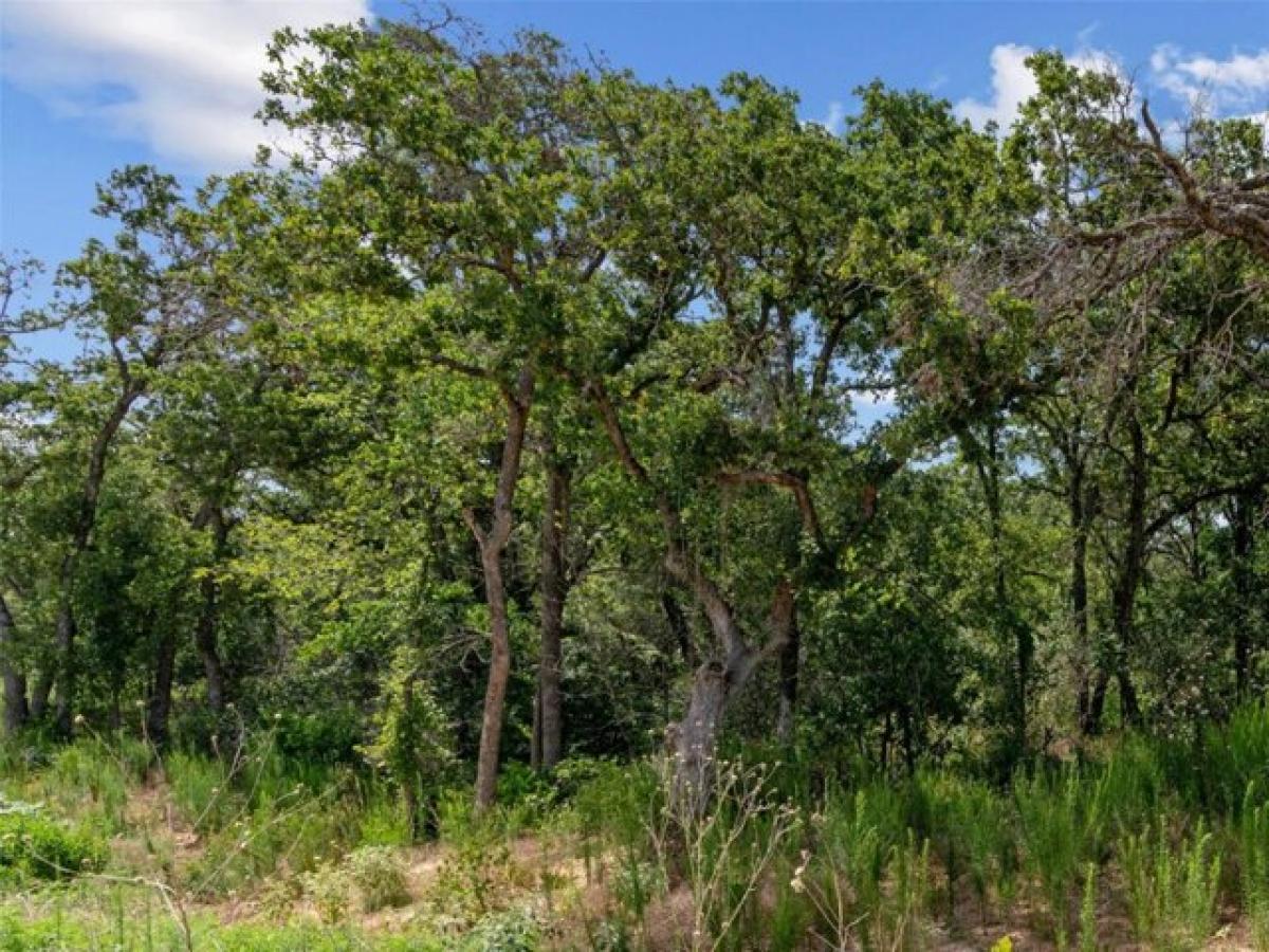 Picture of Residential Land For Sale in Poolville, Texas, United States