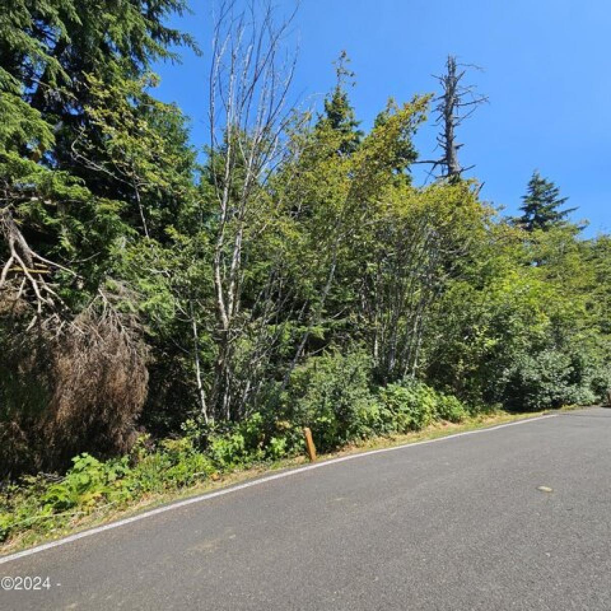 Picture of Residential Land For Sale in Gleneden Beach, Oregon, United States