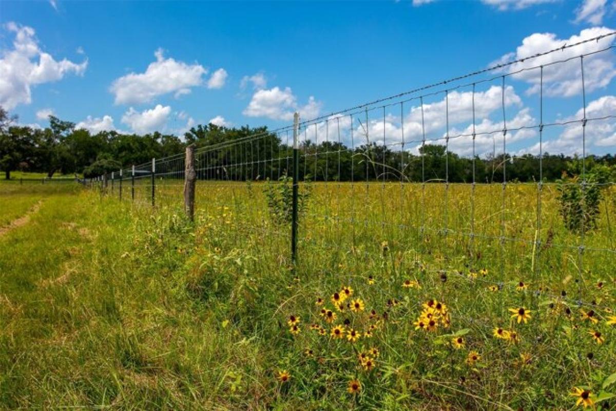 Picture of Residential Land For Sale in Franklin, Texas, United States