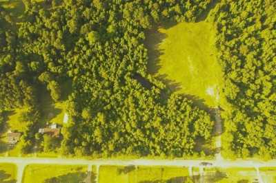 Residential Land For Sale in Gloster, Louisiana