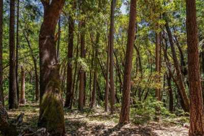 Residential Land For Sale in Grass Valley, California