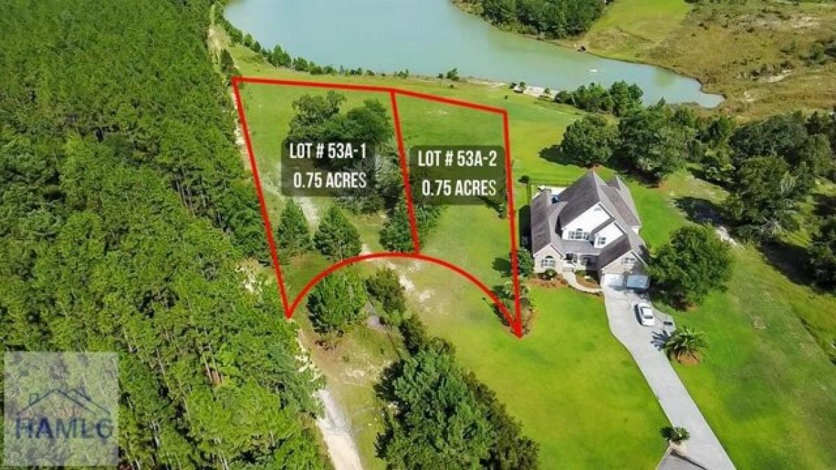 Picture of Residential Land For Sale in Jesup, Georgia, United States