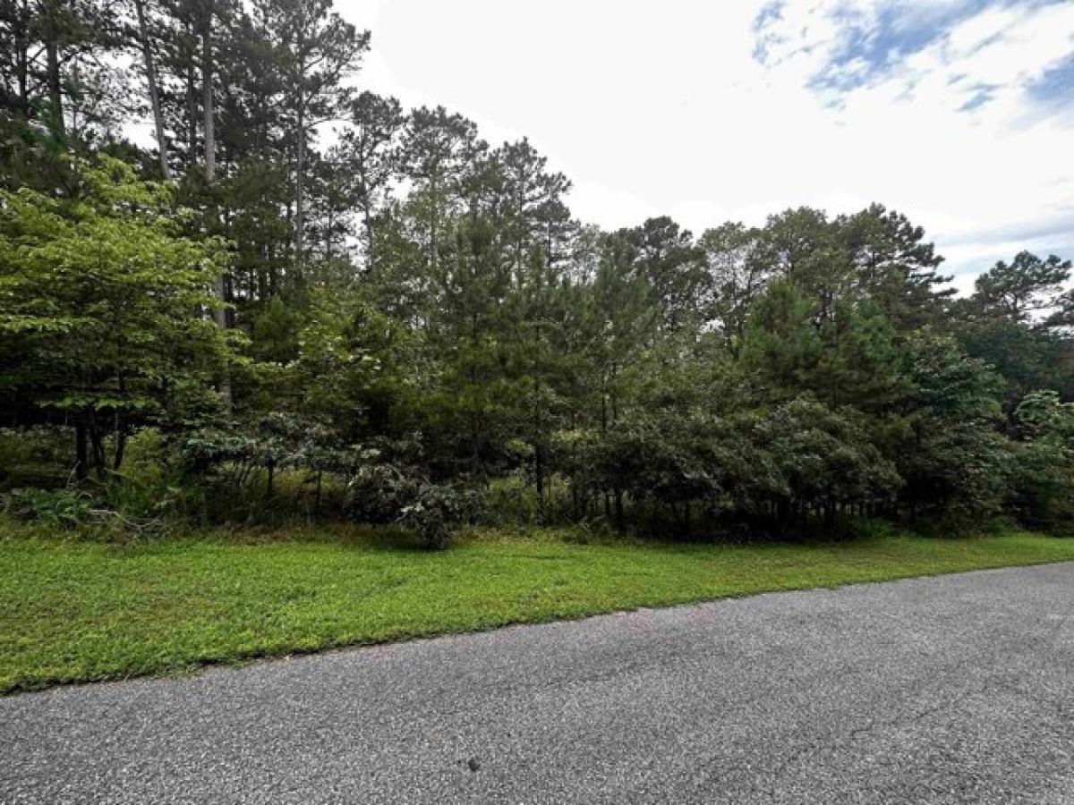 Picture of Residential Land For Sale in Shirley, Arkansas, United States