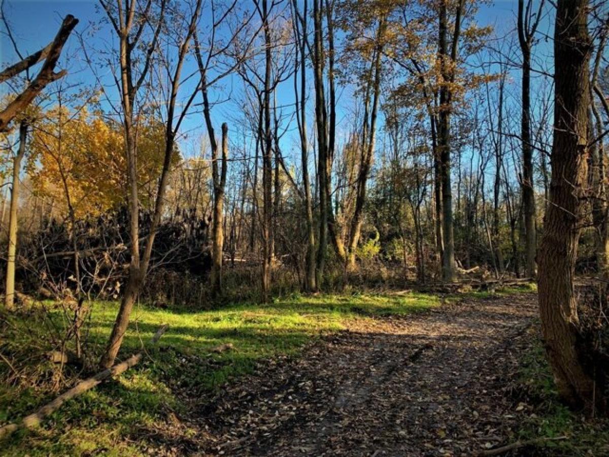 Picture of Home For Sale in Batavia, New York, United States