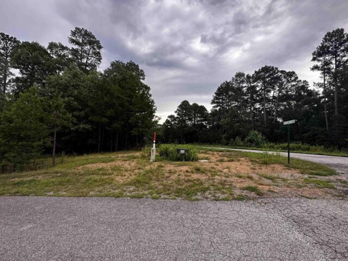 Picture of Residential Land For Sale in Shirley, Arkansas, United States