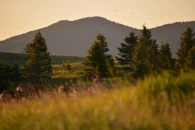 Residential Land For Sale in Monarch, Montana