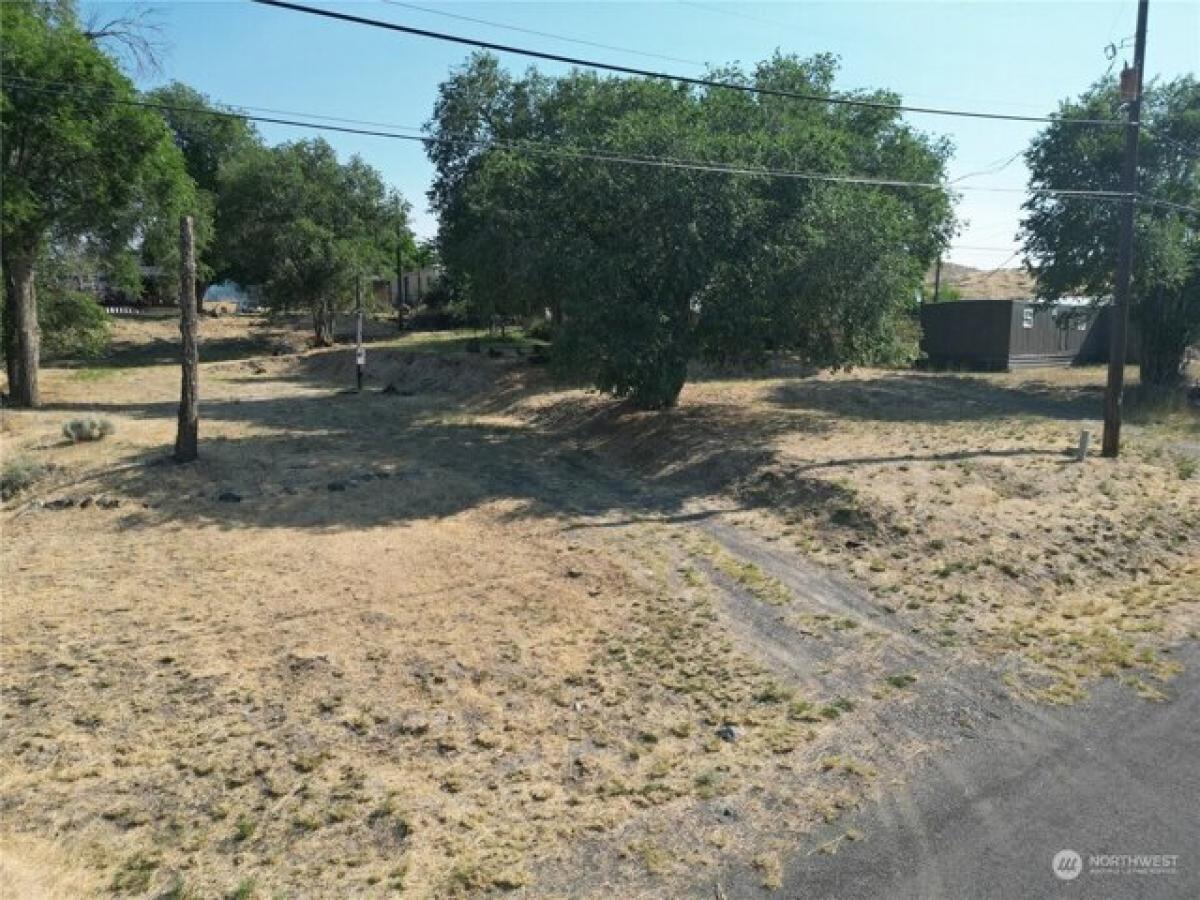 Picture of Residential Land For Sale in Grand Coulee, Washington, United States