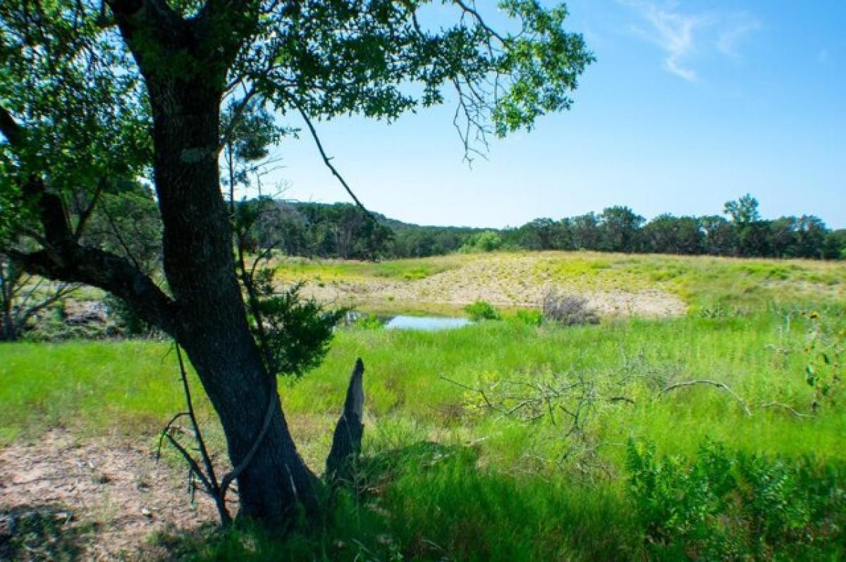 Picture of Residential Land For Sale in Ovalo, Texas, United States