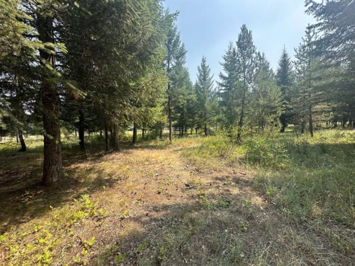 Picture of Residential Land For Sale in Saint Regis, Montana, United States