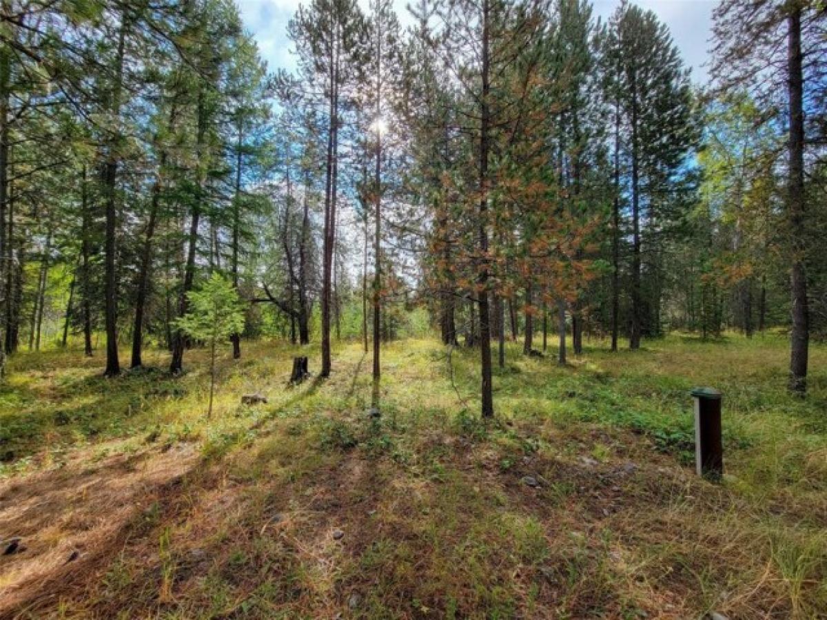 Picture of Residential Land For Sale in Libby, Montana, United States