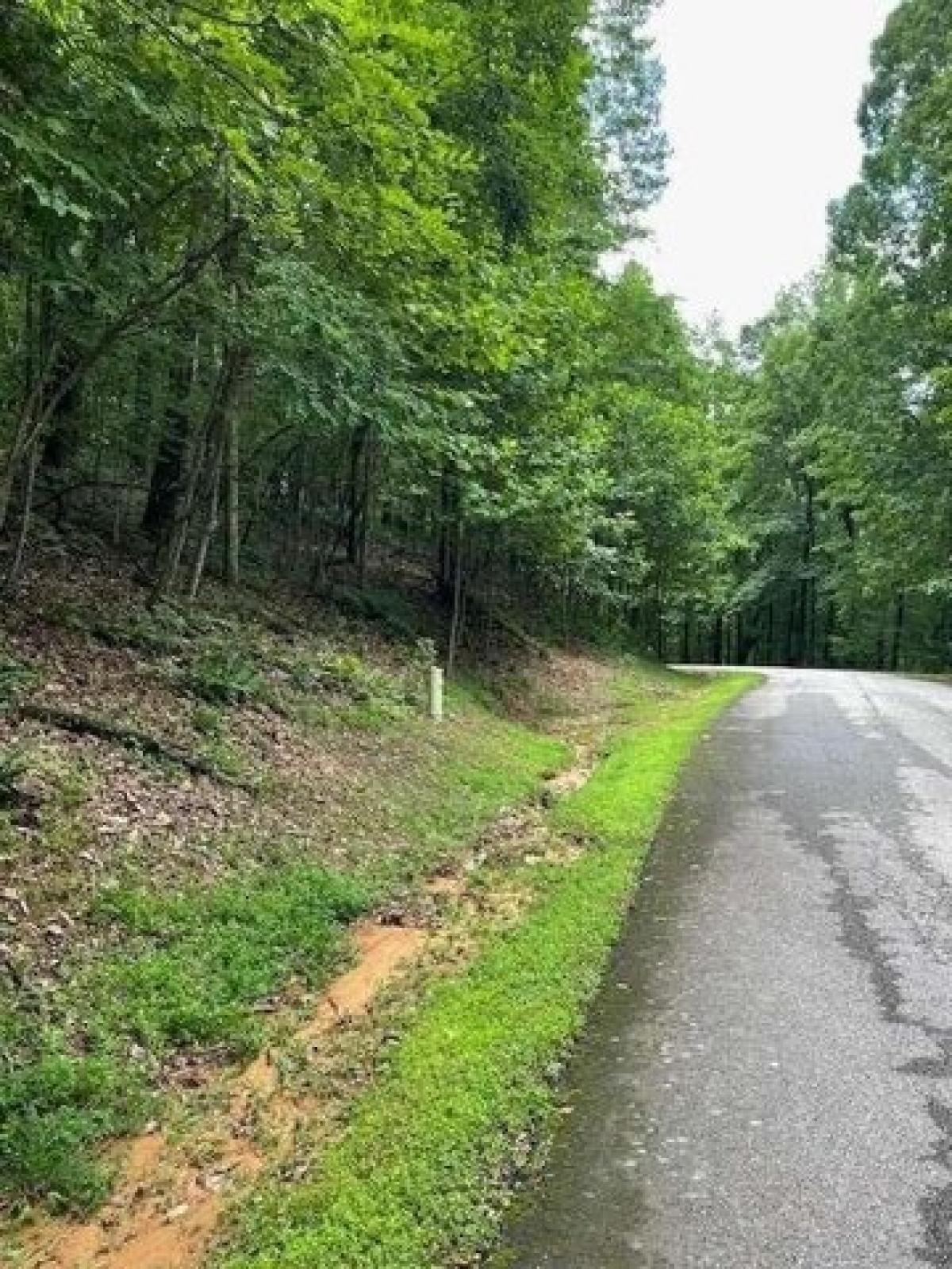 Picture of Residential Land For Sale in Cleveland, Georgia, United States