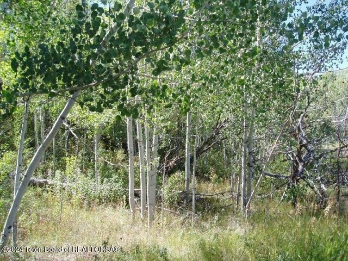 Picture of Residential Land For Sale in Ashton, Idaho, United States