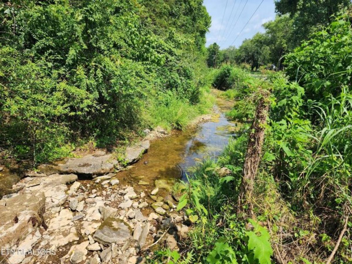 Picture of Residential Land For Sale in Gainesboro, Tennessee, United States