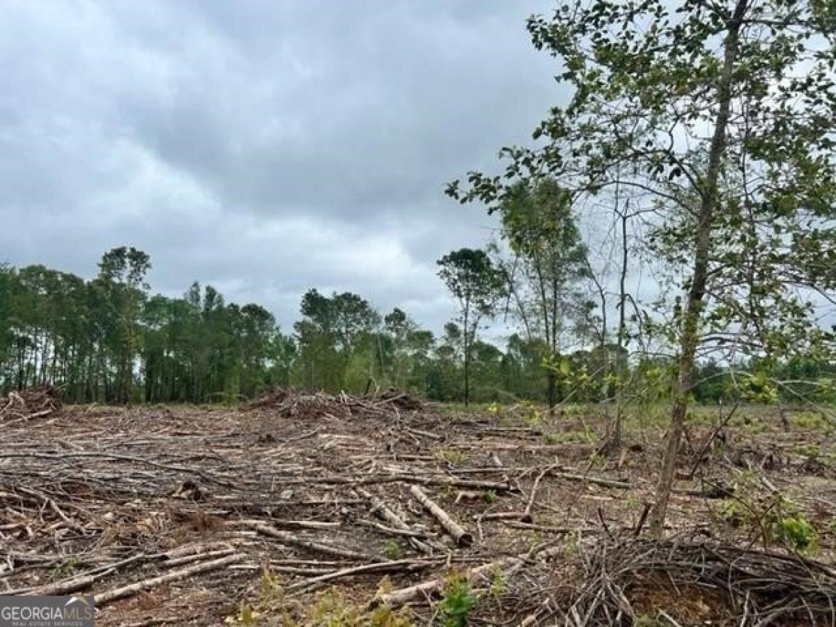 Picture of Residential Land For Sale in Warthen, Georgia, United States