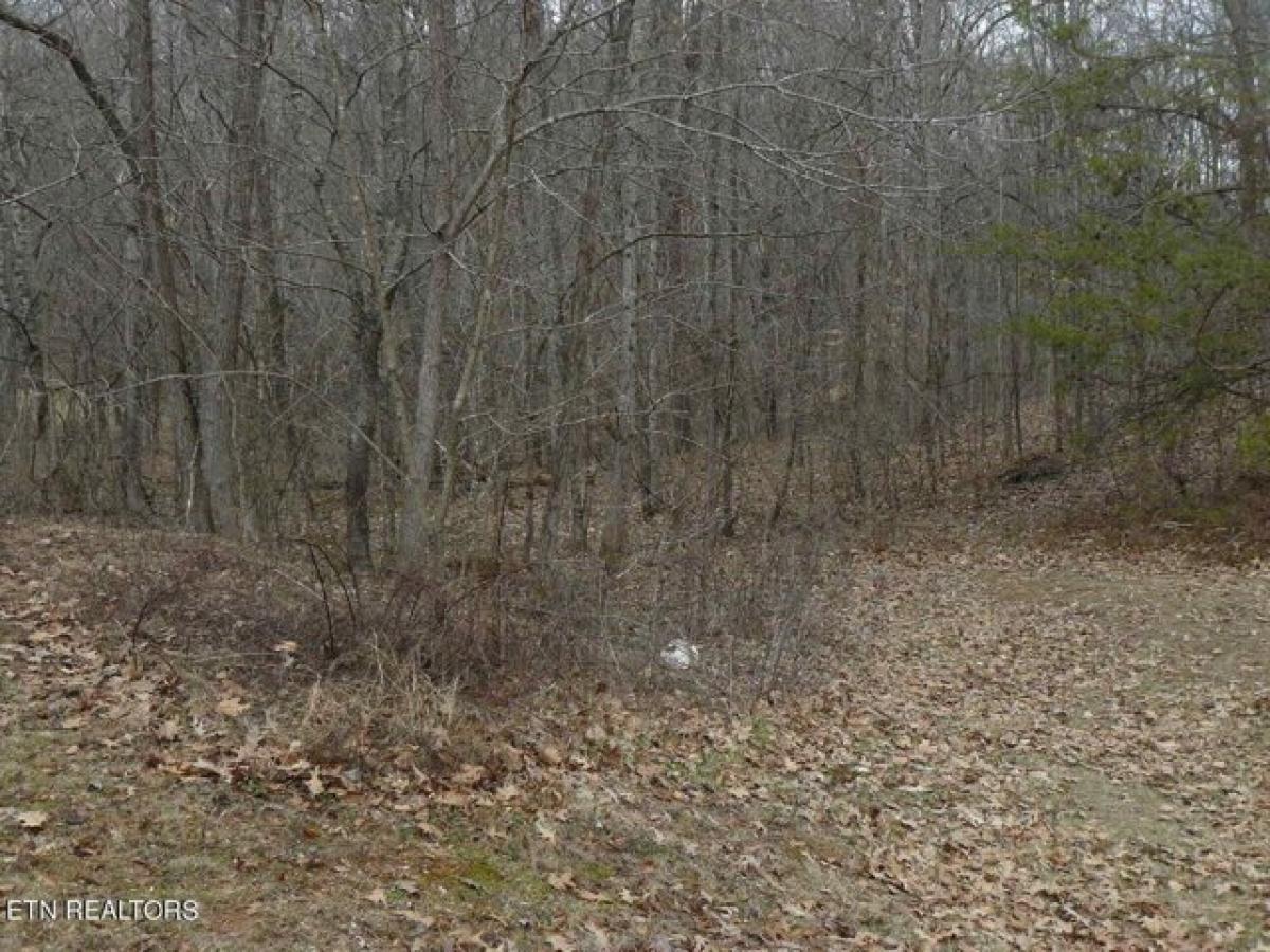 Picture of Residential Land For Sale in Harrogate, Tennessee, United States