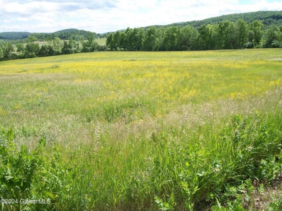 Picture of Residential Land For Sale in Whitehall, New York, United States