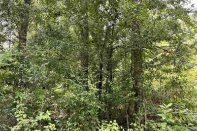 Residential Land For Sale in Clinton, Louisiana