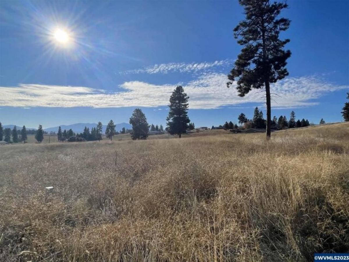 Picture of Residential Land For Sale in Chiloquin, Oregon, United States