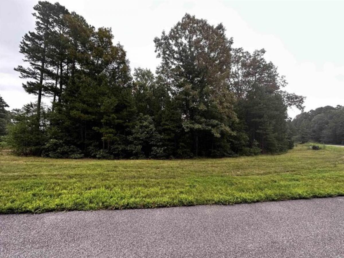 Picture of Residential Land For Sale in Shirley, Arkansas, United States