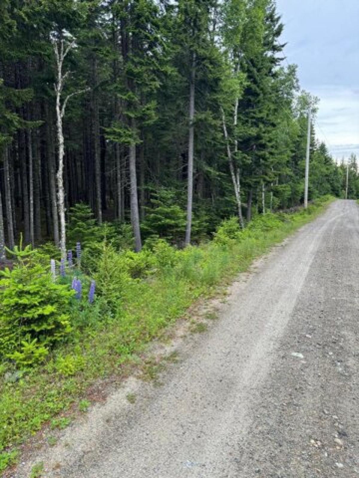 Picture of Residential Land For Sale in Addison, Maine, United States