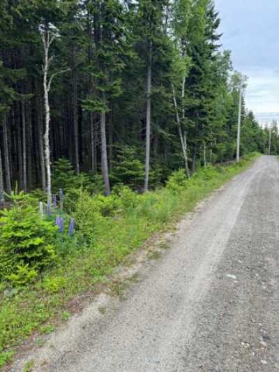 Residential Land For Sale in Addison, Maine