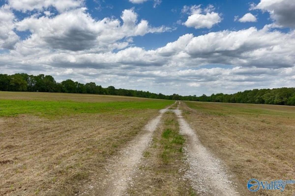 Picture of Residential Land For Sale in New Market, Alabama, United States