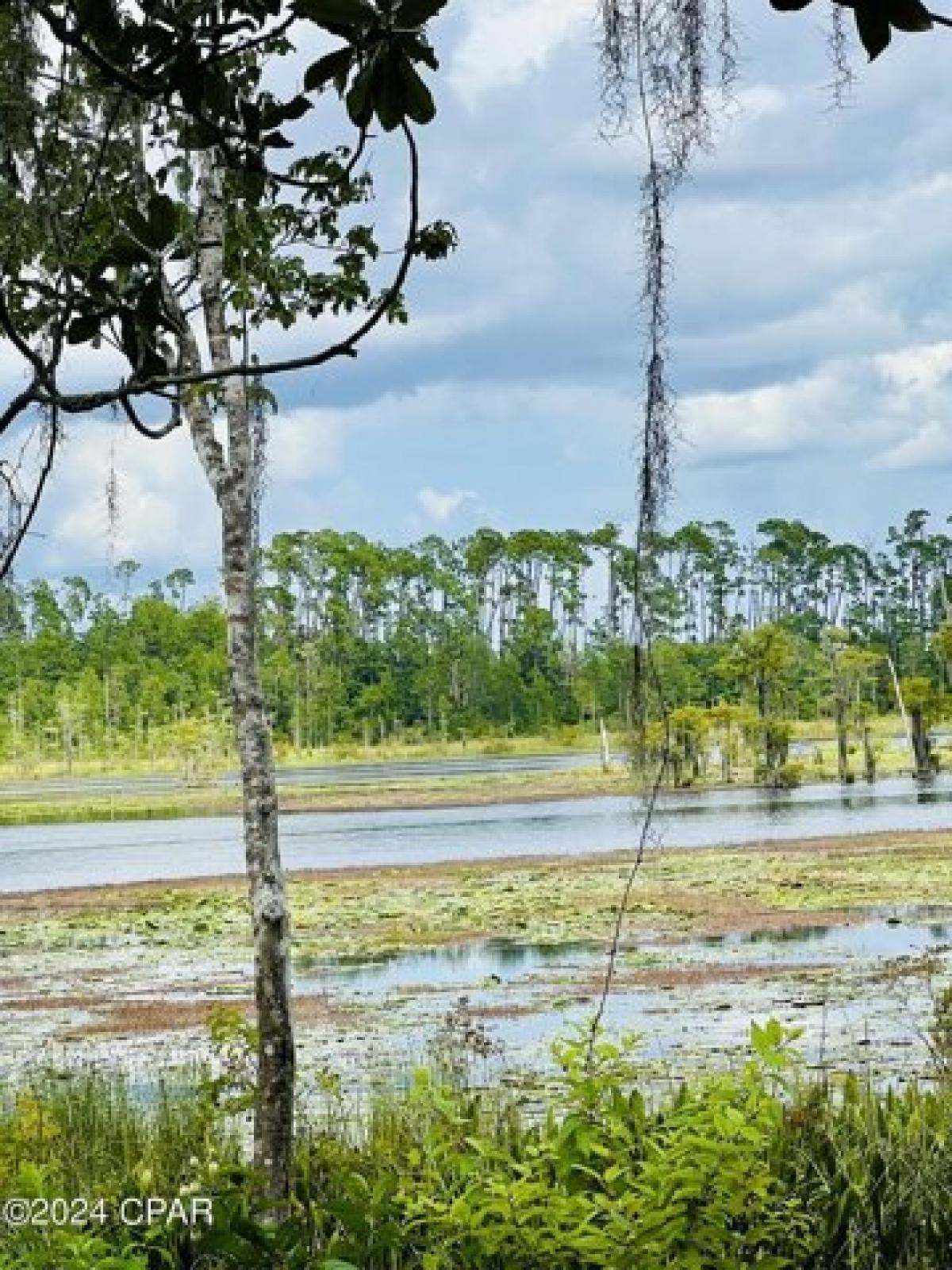 Picture of Residential Land For Sale in Southport, Florida, United States