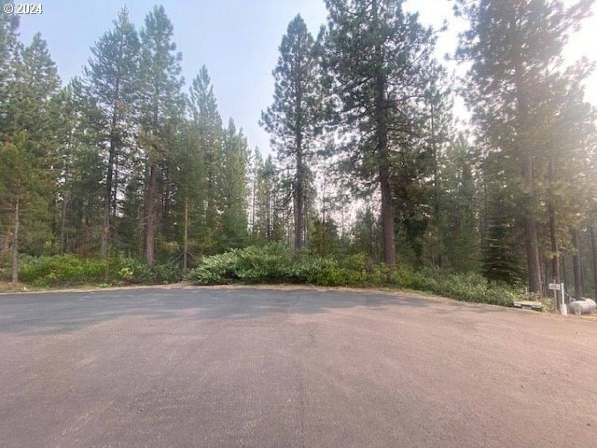 Picture of Residential Land For Sale in Crescent Lake, Oregon, United States