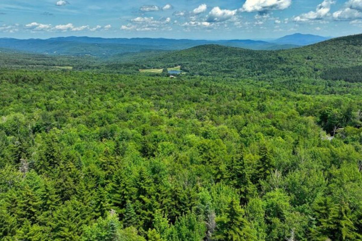 Picture of Residential Land For Sale in Ludlow, Vermont, United States