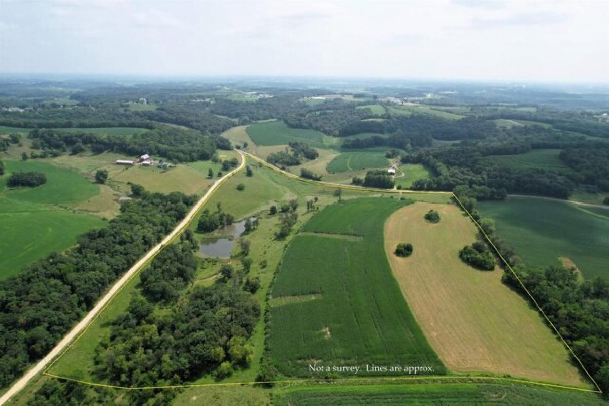 Picture of Residential Land For Sale in Eastman, Wisconsin, United States