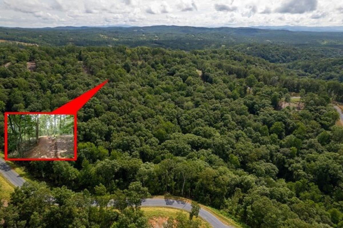 Picture of Residential Land For Sale in Talking Rock, Georgia, United States