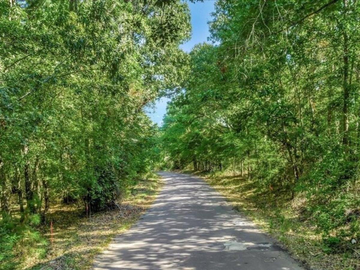 Picture of Residential Land For Sale in Nacogdoches, Texas, United States