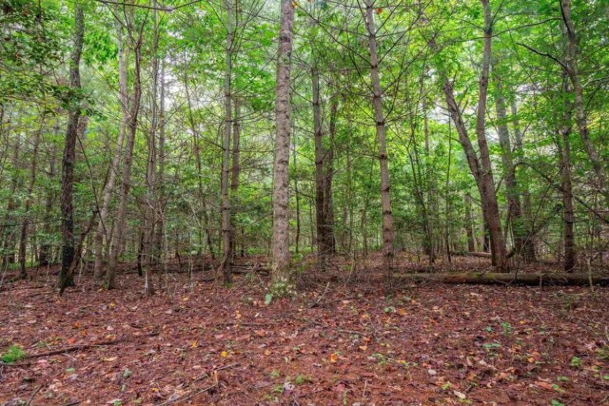 Picture of Residential Land For Sale in Mount Airy, North Carolina, United States