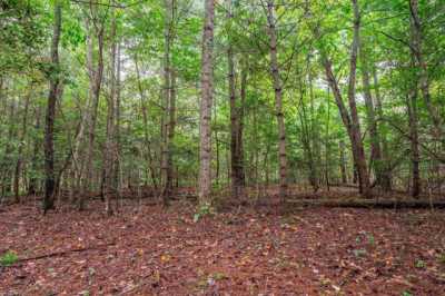 Residential Land For Sale in Mount Airy, North Carolina