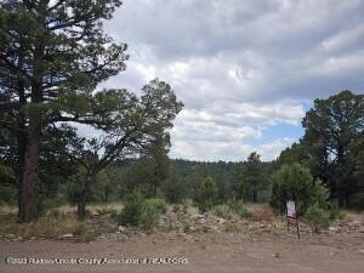 Picture of Residential Land For Sale in Alto, New Mexico, United States