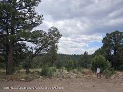 Residential Land For Sale in Alto, New Mexico