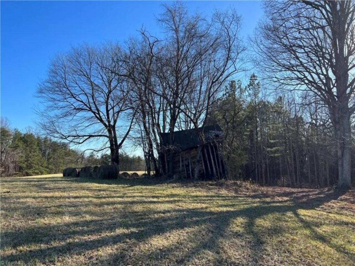 Picture of Residential Land For Sale in Stoneville, North Carolina, United States