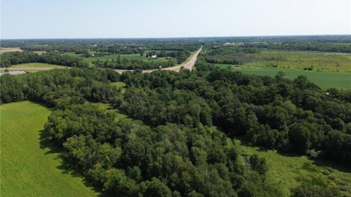 Picture of Residential Land For Sale in Stanchfield, Minnesota, United States