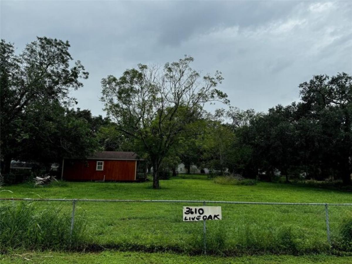 Picture of Residential Land For Sale in Damon, Texas, United States