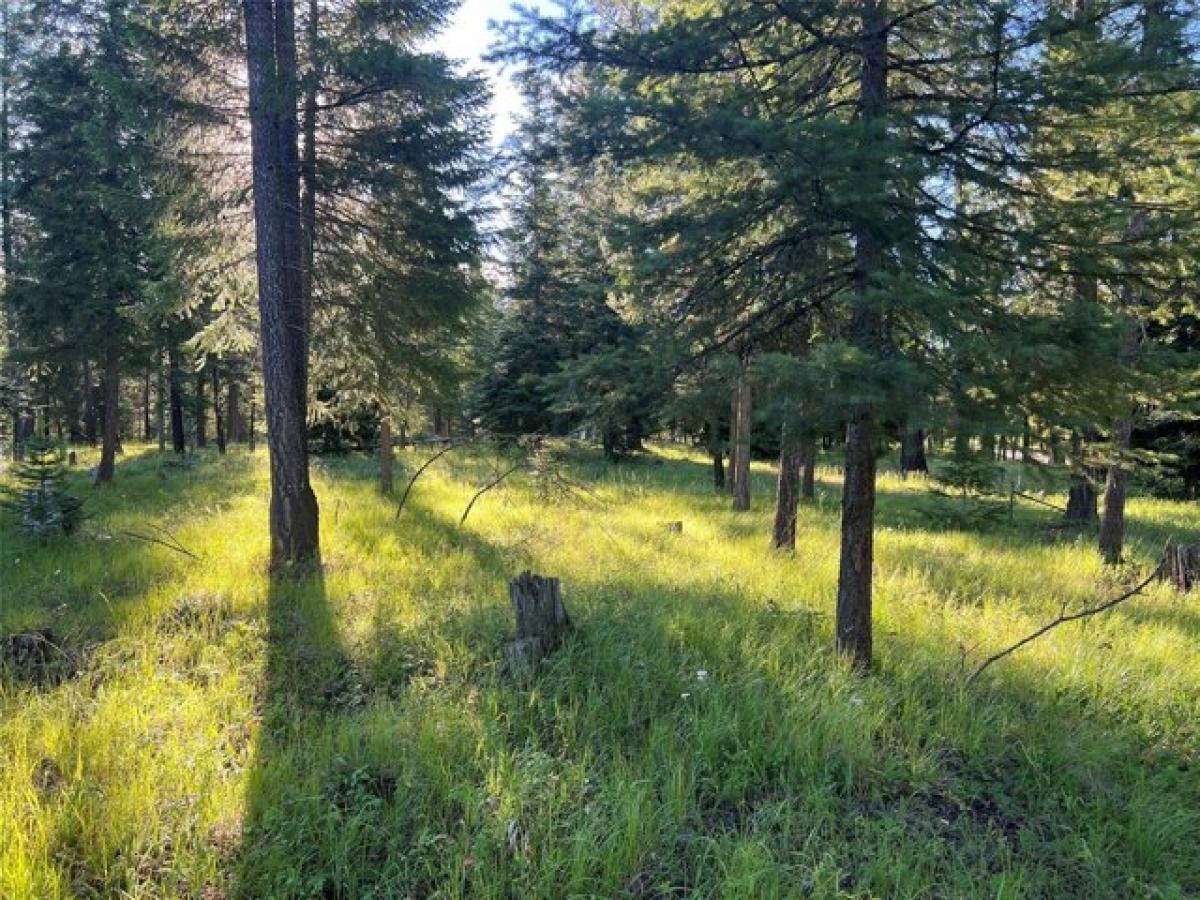 Picture of Residential Land For Sale in Troy, Montana, United States