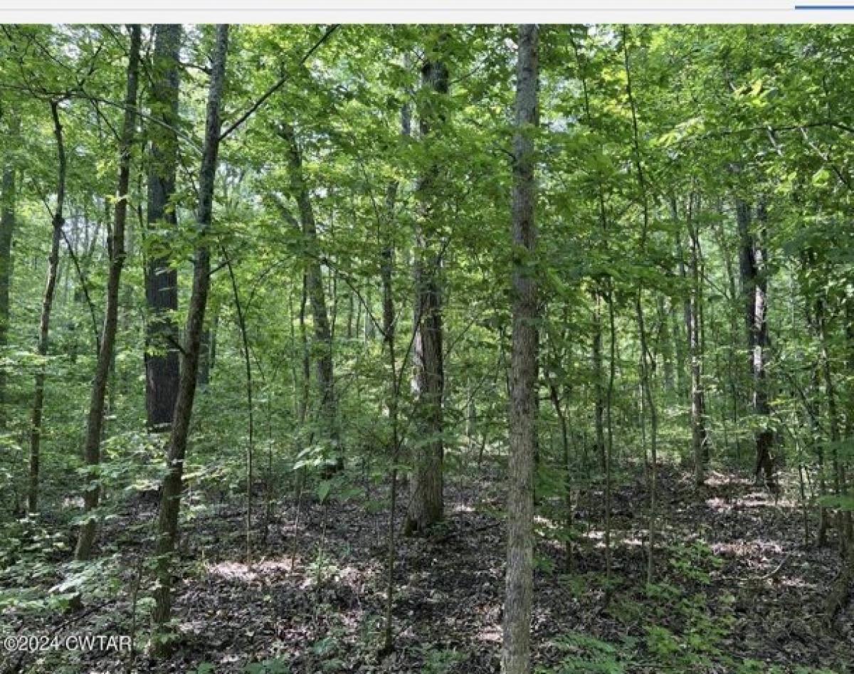 Picture of Residential Land For Sale in Big Sandy, Tennessee, United States