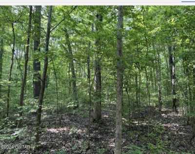 Residential Land For Sale in Big Sandy, Tennessee